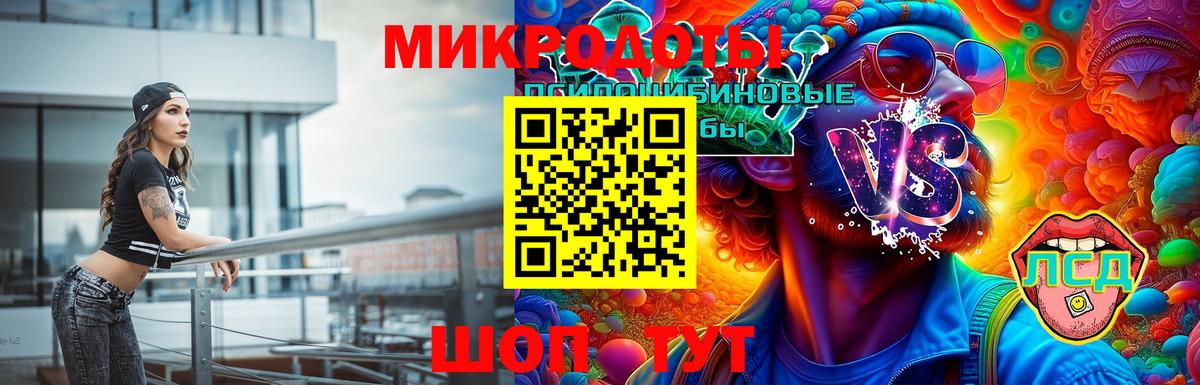 Псилоцибиновые грибы Psilocybe Шарыпово